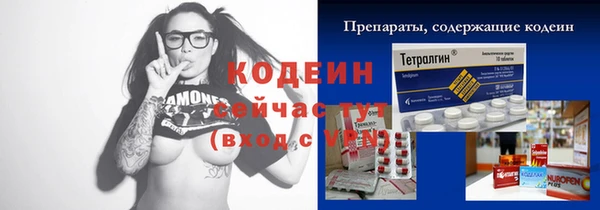 2c-b Горно-Алтайск