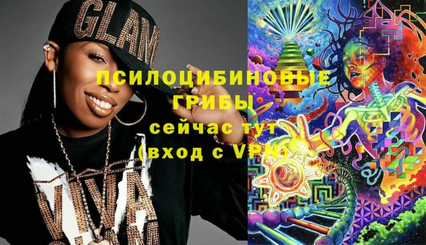 apvp Гусиноозёрск
