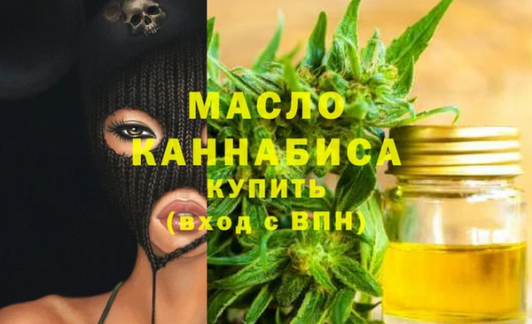 2c-b Горно-Алтайск