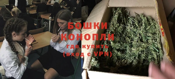 2c-b Горно-Алтайск