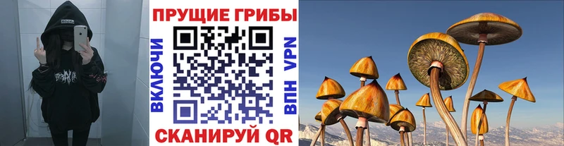 Псилоцибиновые грибы Psilocybine cubensis  Нефтеюганск 